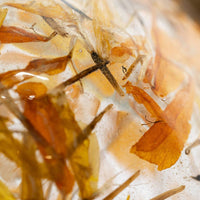 Amber Botanical Ornament - Three Inch