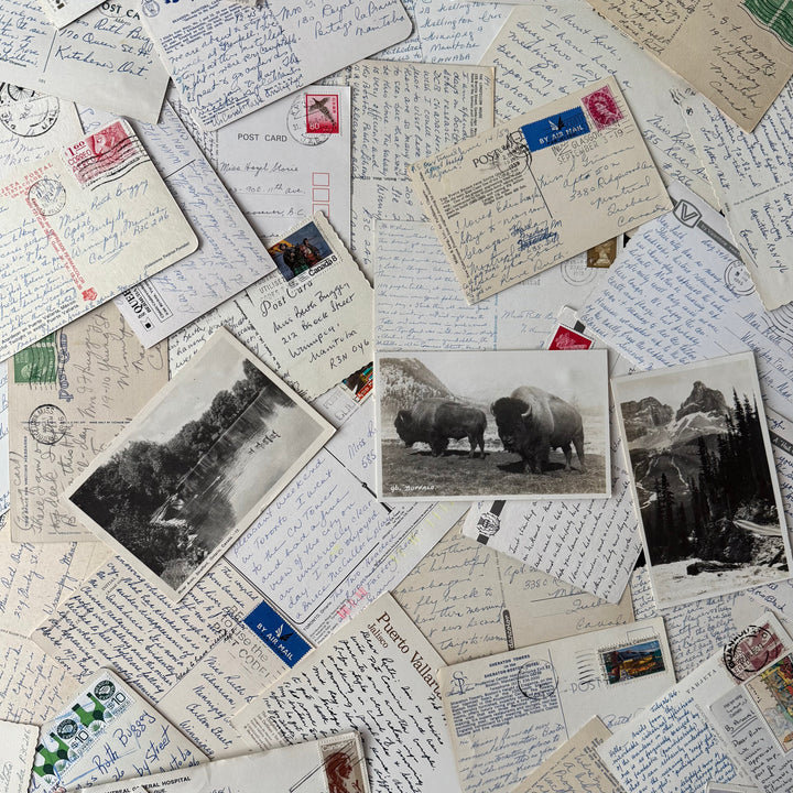 19. DISPATCHES - January Notes – Farmer's Son Co.