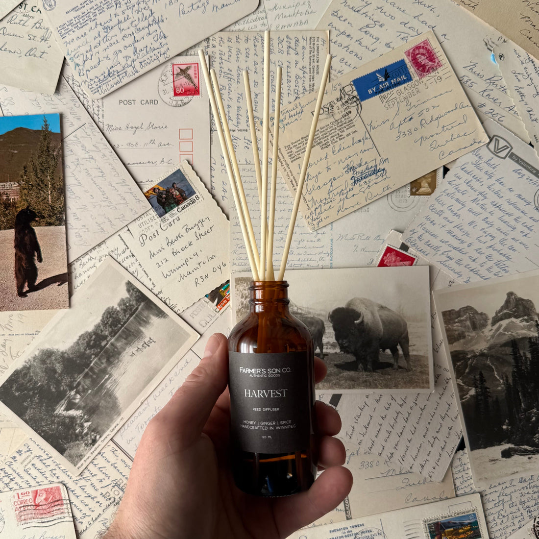 Farmer's Son Co. - Harvest Reed Diffuser