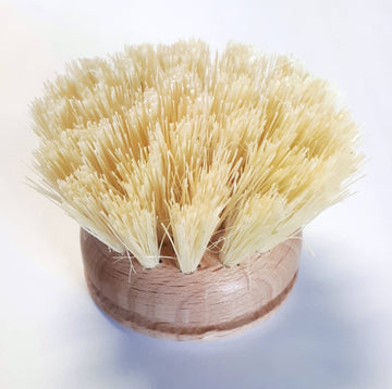 Dish Brush Replacement Head 2" Tampico Bristle: Natural / Wood/Tampico Bristle