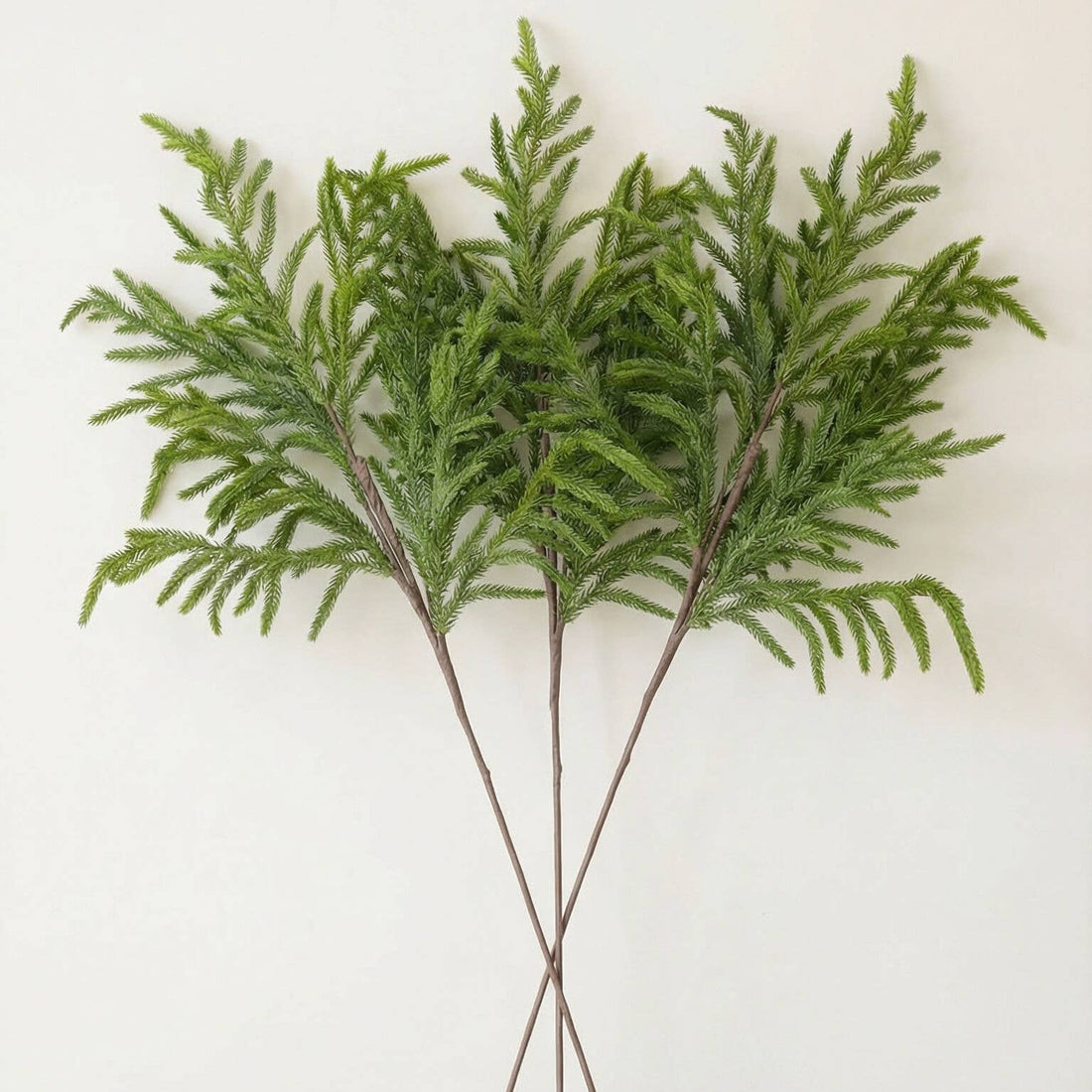Real Touch Faux Norfolk Pine Stem - 33" Large