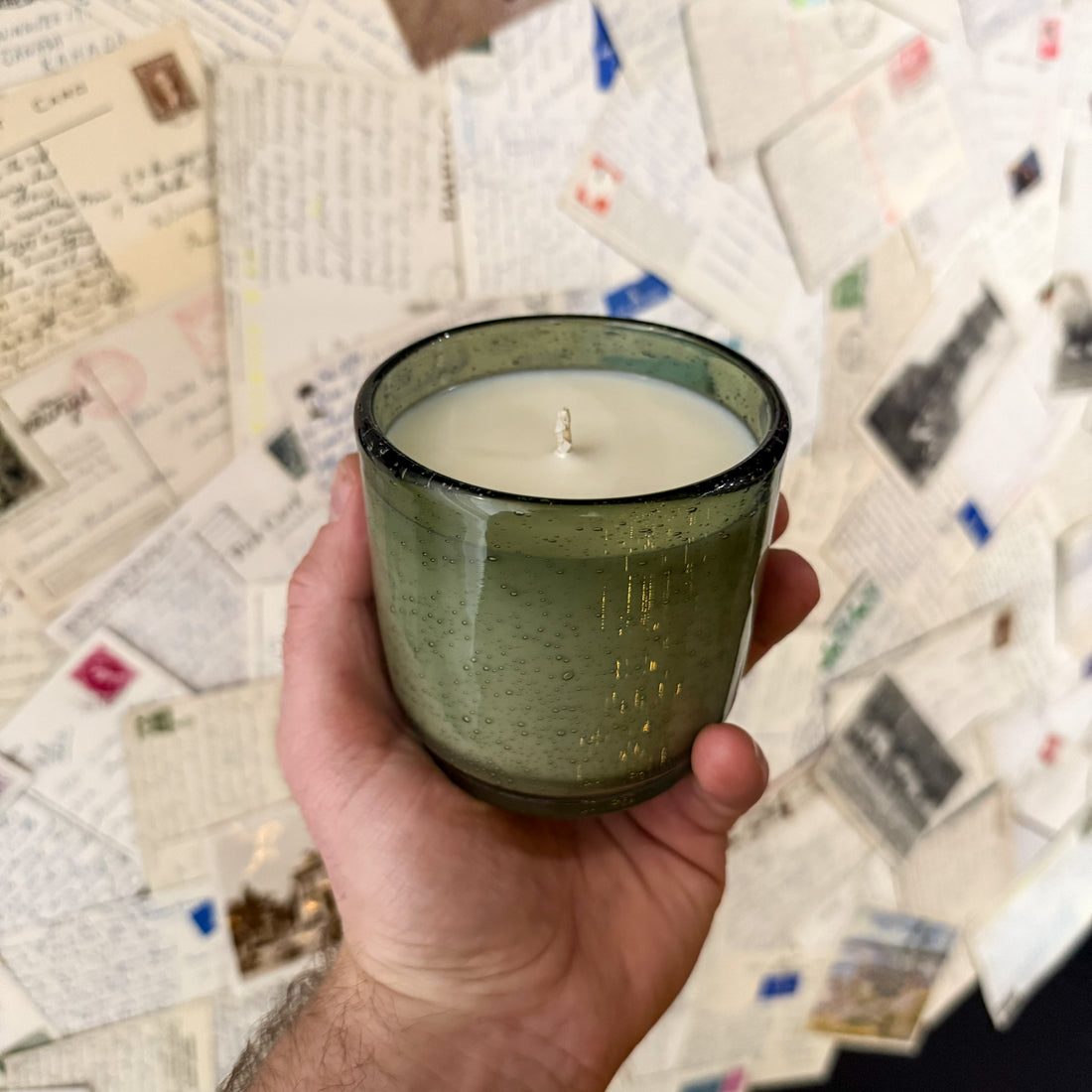 Frasier Fir - Holiday Limited Edition