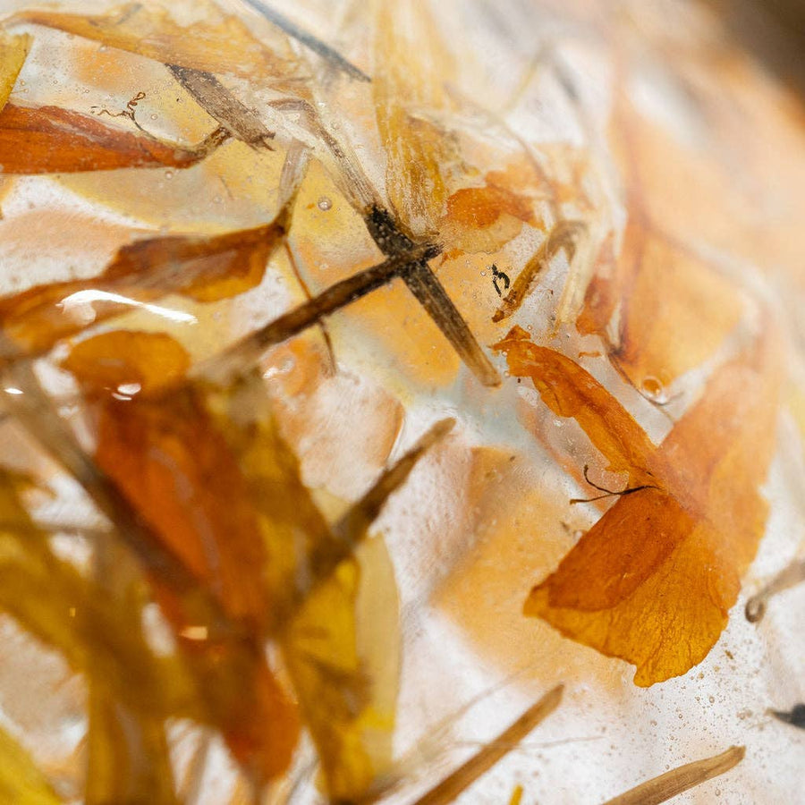Amber Botanical Ornament  - Three Inch