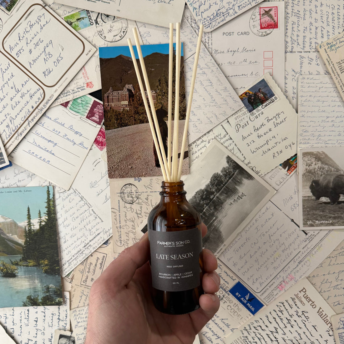 Farmer’s Son Co. - Late Season Reed Diffuser
