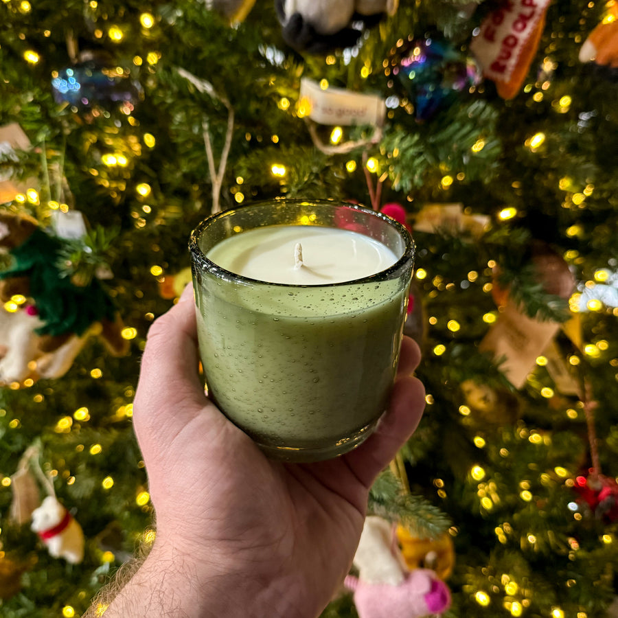 Frasier Fir - Holiday Limited Edition