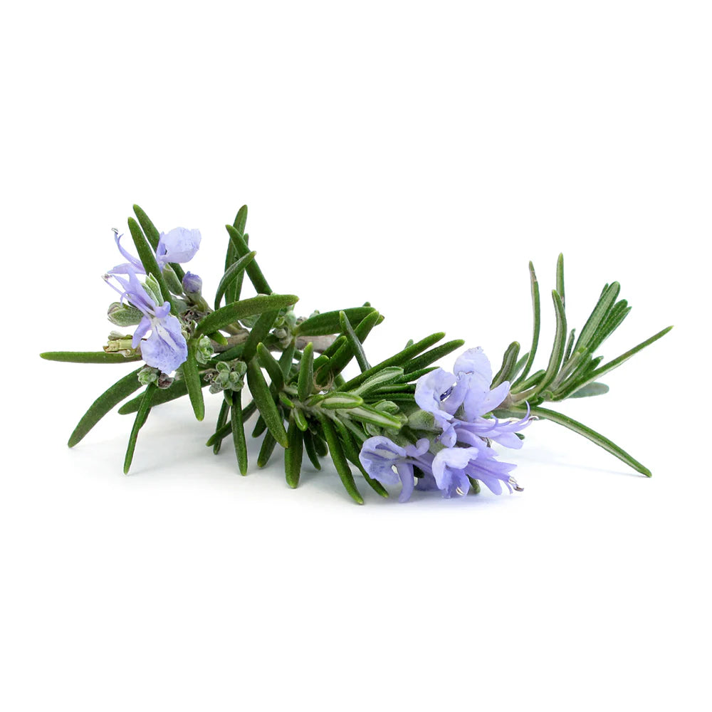 Alecrim Foot Cream - 90ML