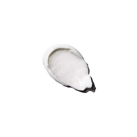 Alecrim Foot Cream - 90ML