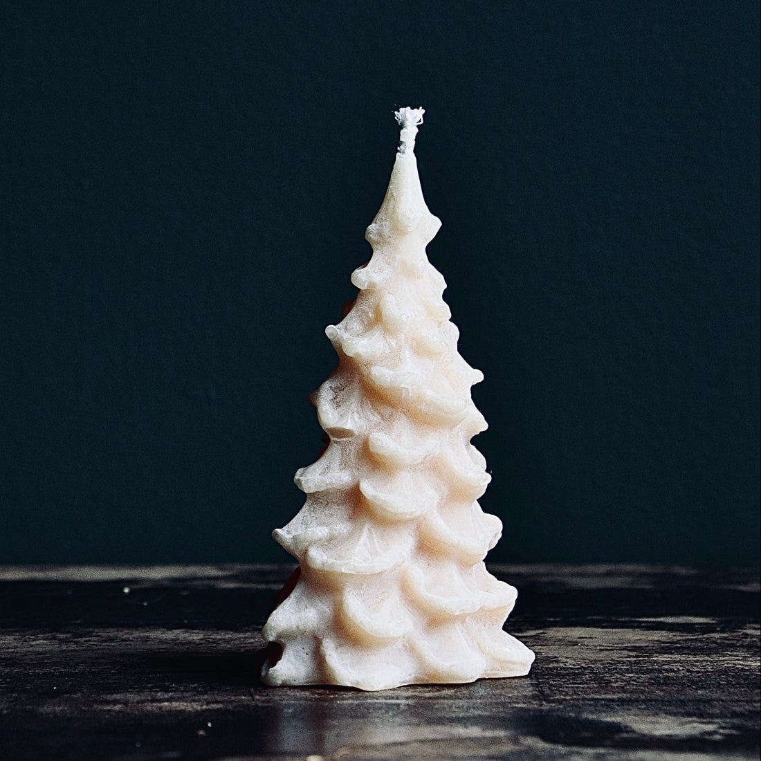 Beeswax Scalloped Tree