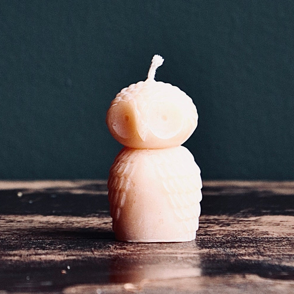 Beeswax Owl