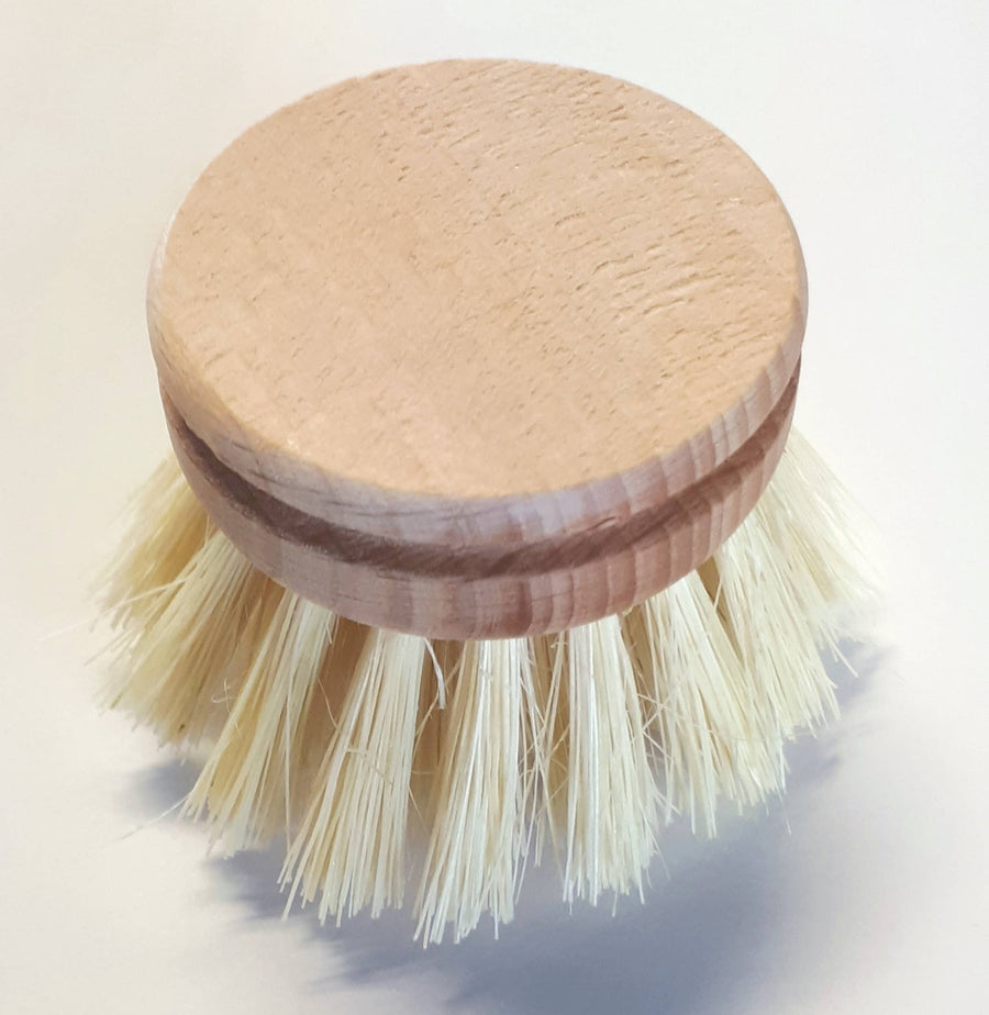 Dish Brush Replacement Head 2" Tampico Bristle: Natural / Wood/Tampico Bristle